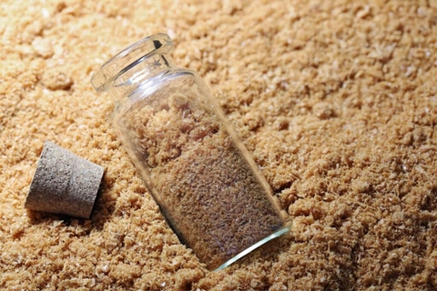 Protein đơn bào có thể đạt 500.000 tấn vào năm 2030