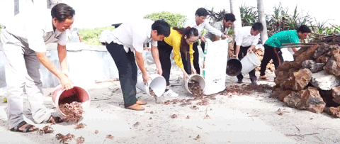 Quảng Ngãi: Xây dựng mô hình nuôi cua dẹp tại Lý Sơn