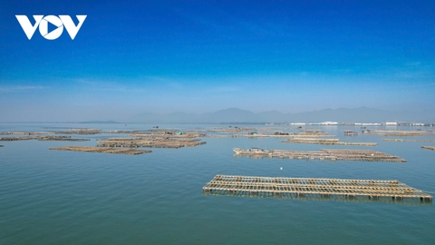 Quảng Ninh tái tạo nguồn lợi thủy sản, hướng tới nghề cá bền vững