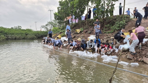 Tại khu rừng ngập mặn đẹp nhất miền Bắc, tỉnh Quảng Ninh tổ chức thả hơn 3,6 triệu con tôm, cá, cua giống