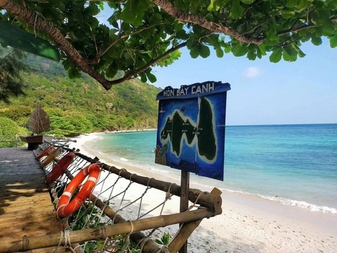 Rùa mẹ quay về Côn Đảo đẻ trứng, dù chưa vào mùa cao điểm