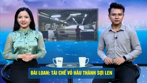 Đài Loan: Tái chế vỏ hàu thành sợi len