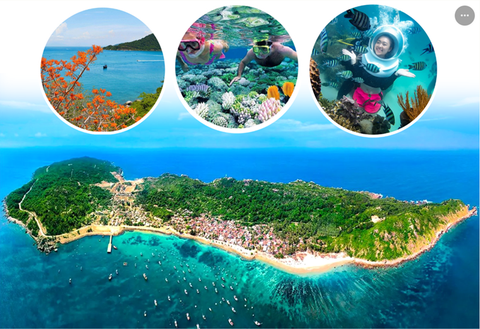 Những cột mốc ấn tượng trong bảo tồn, phát huy giá trị khu sinh quyển thế giới Cù Lao Chàm