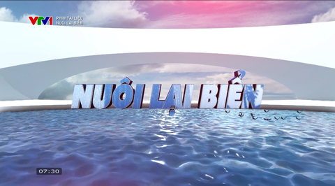 Phim tài liệu:  Nuôi lại biển