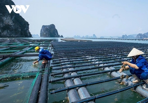 Nuôi trồng thủy sản thích ứng với thiên tai