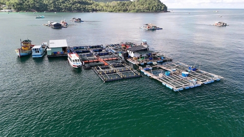 An Giang phát triển nuôi biển bền vững