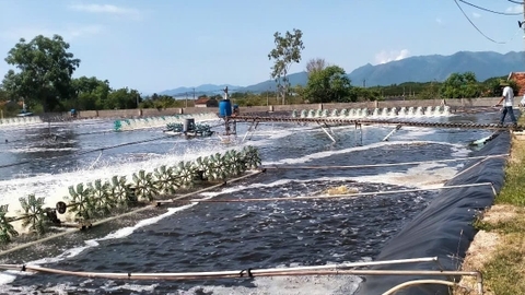 Tạo đột phá trong thể chế hóa chiến lược phát triển kinh tế biển