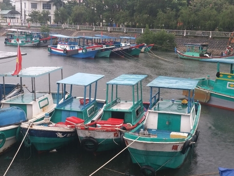 Giảm dần tàu cá chiều dài dưới 15m, góp phần phát triển nghề cá bền vững