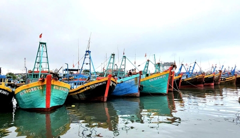 Số hóa nghề cá