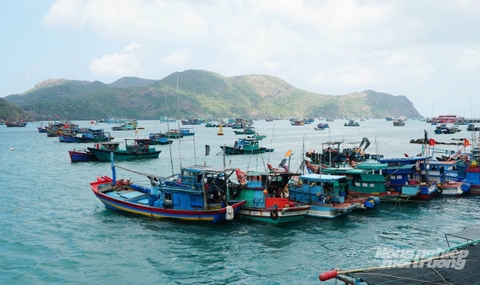 Bám biển giữa 'bão' giá dầu: Tái cấu trúc nghề cá