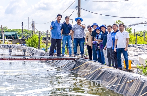 Người “mở lối” nuôi tôm công nghệ tuần hoàn RAS