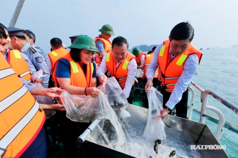 'Tiếp sức' cho vùng biển di sản Cát Bà