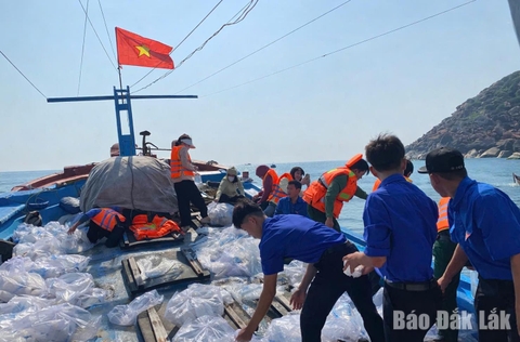 Xây dựng nghề cá có trách nhiệm