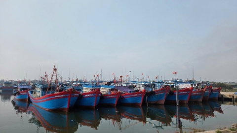 Thanh Hóa xử phạt hơn 200 triệu đồng tàu cá vi phạm IUU