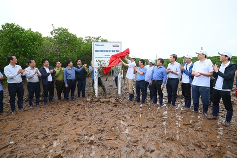 Thứ trưởng Nguyễn Quốc Trị: Gắn trồng rừng với phát triển sinh kế bền vững cho người dân