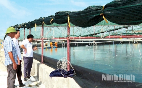 Phát triển vùng nuôi thủy sản tập trung