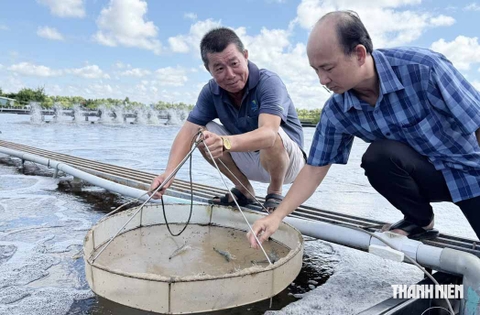 Kỹ sư điện miền Tây sáng chế hồ nuôi tôm trên... mặt đất