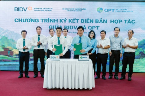 Trồng 240.000 cây mắm biển trên 40 ha rừng phòng hộ tại Cần Thơ