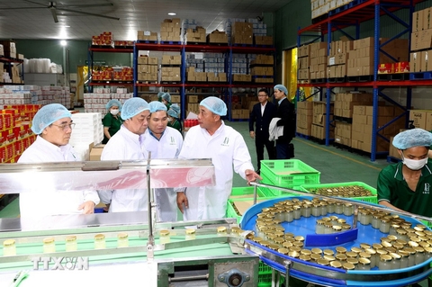 Khánh Hòa quy hoạch vùng nguyên liệu rong biển theo hướng bền vững