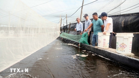 Phát triển nuôi trồng thủy sản hồ chứa, kỳ vọng đạt 16.000 tỷ đồng mỗi năm