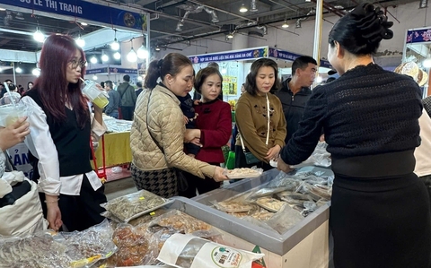 Livestream bán hải sản, Bí thư đặc khu Cô Tô giúp bà con bán hàng mỏi tay