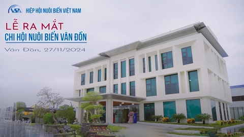 LỄ RA MẮT CHI HỘI NUÔI BIỂN VÂN ĐỒN