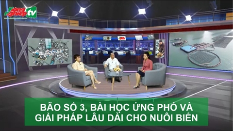 BÃO SỐ 3, BÀI HỌC ỨNG PHÓ VÀ GIẢI PHÁP LÂU DÀI CHO NUÔI BIỂN
