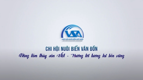 CHI HỘI NUÔI BIỂN VÂN ĐỒN: Nâng tầm thủy sản Việt - Hướng tới tương lai bền vững