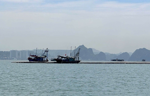 Khẩn trương di dời hơn 40 bè, mảng bị dông lốc đánh dạt vào vùng lõi vịnh Hạ Long