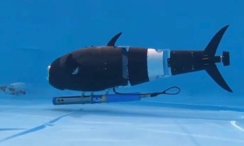 Robot cá AI cách mạng hóa chăn nuôi thủy sản