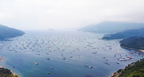 Di dời hơn 37.000 bè nuôi tôm hùm, cá ở vịnh Vũng Rô