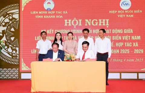 Hội nghị ký kết Chương trình phối hợp hoạt động với Hiệp hội Nuôi biển Việt Nam về thúc đẩy phát triển kinh tế tập thể, HTX trong lĩnh vực nuôi biển công nghệ cao trên địa bàn tỉnh giai đoạn 2025 - 2029.