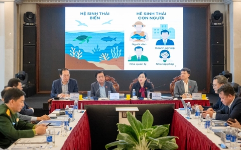 Thúc đẩy kinh tế biển xanh, phát triển bền vững: Từ dữ liệu đến hành động