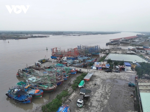 Phân cấp mạnh mẽ quản lý thủy sản, 