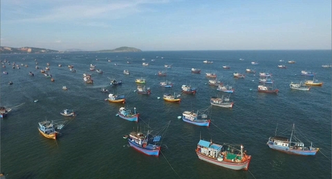 Kinh tế biển sẽ tạo động lực bứt phá cho Lâm Đồng