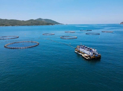 Không thể dựa mãi vào lợi thế có sẵn