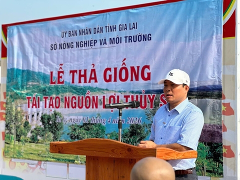 Thả hơn 70.000 con cá giống tái tạo nguồn lợi thủy sản hồ Ia Ly