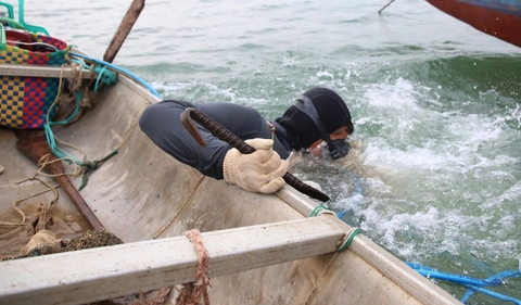 Nhọc nhằn nghề lặn hàu