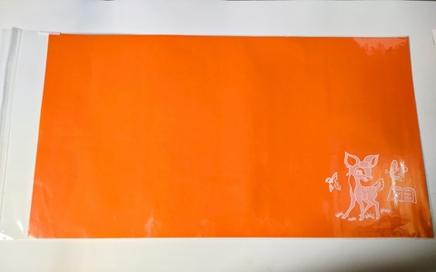 Bìa bao tập HS lồng giấy màu thủ công (kiếng dày) (20)