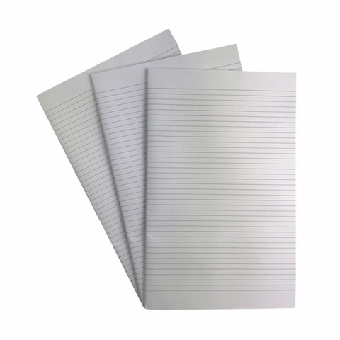 Giấy manh kẻ caro / ngang đôi A4 320x205mm Thuận Tiến (20/100)