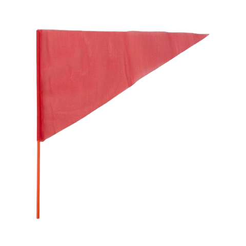 Lá cờ tam giác cán cầm tay học thể dục (10/100)