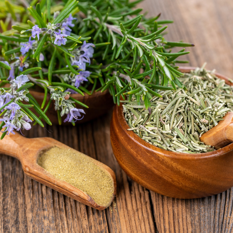 Hạt giống Hương Thảo