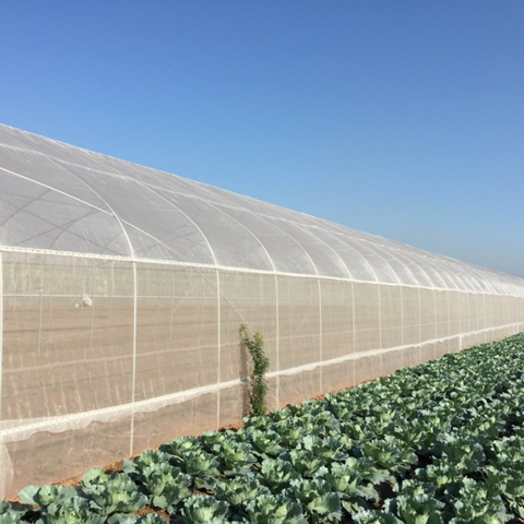 Lưới chắn côn trùng