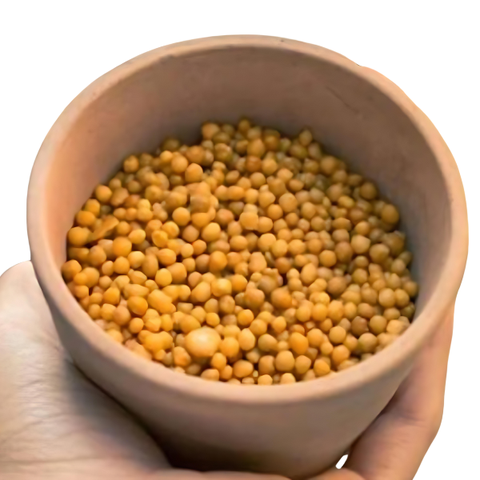 Phân tan chậm (100g)