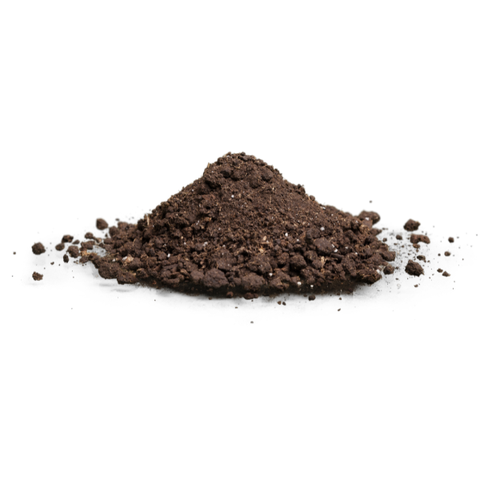 Đất sạch trồng cây