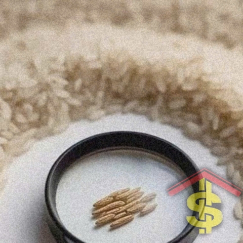 Giá lúa gạo hôm nay 25/12/2025: Biến động nhẹ