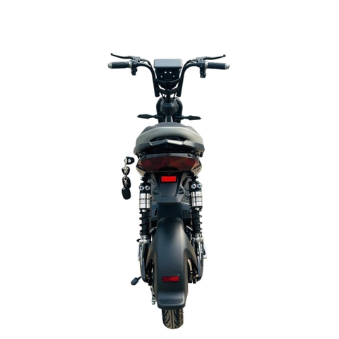 Xe đạp điện Hugo Jerry 20A màu đen tem xanh rêu