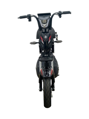 Xe đạp điện Hugo Jerry 20A màu đen tem đỏ