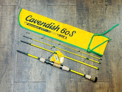 CAVENDISH 60S
