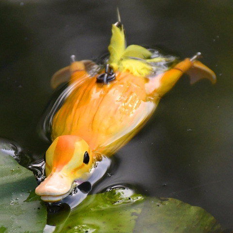 SAVAGE GEAR 3D Suicide Duck F